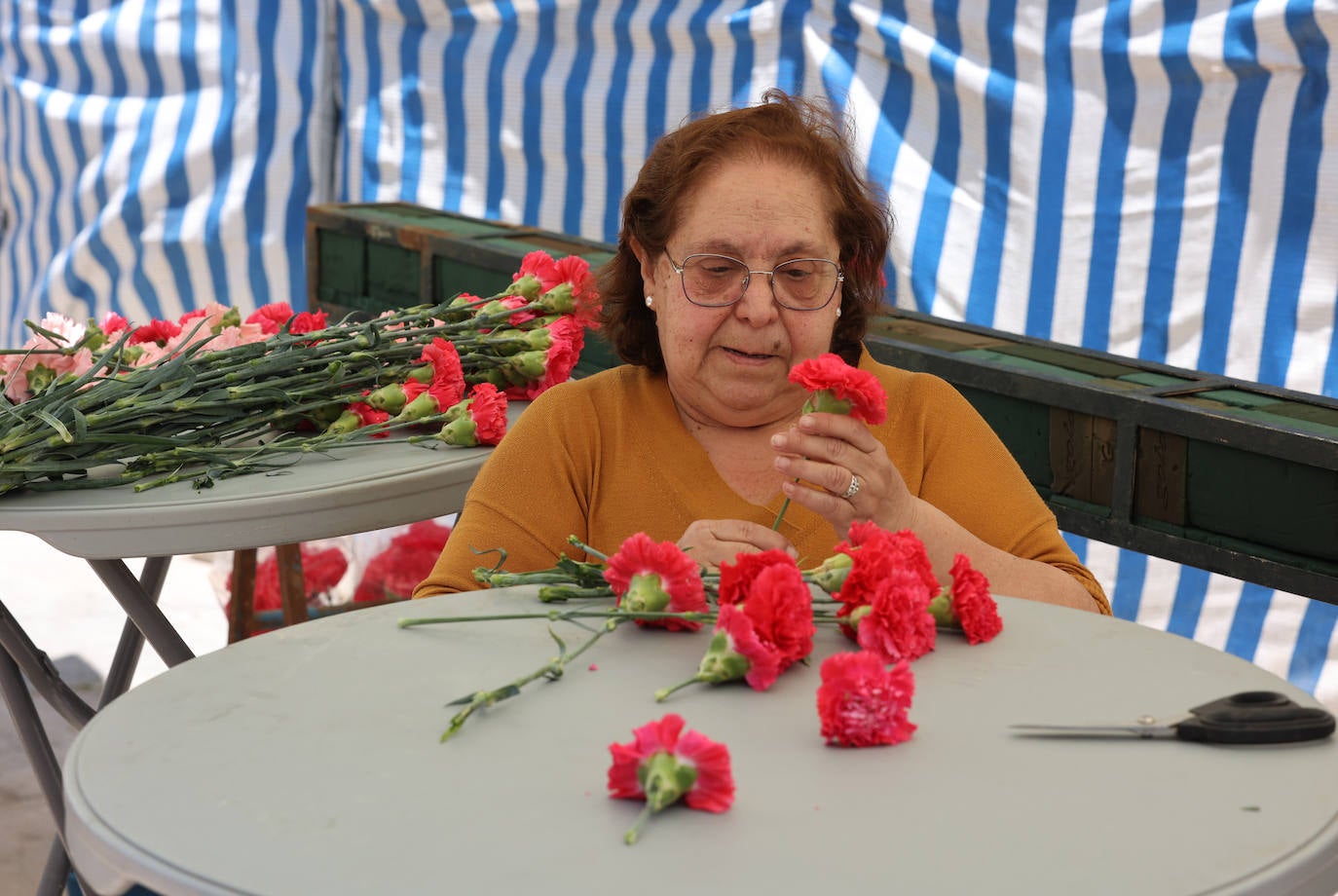 Los preparativos de las Cruces de Mayo en Córdoba, en imágenes