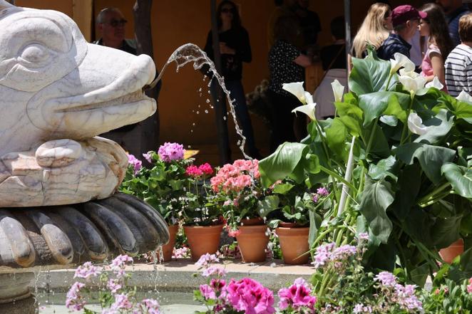 El inicio de las Cruces de Mayo de Córdoba 2022, en imágenes