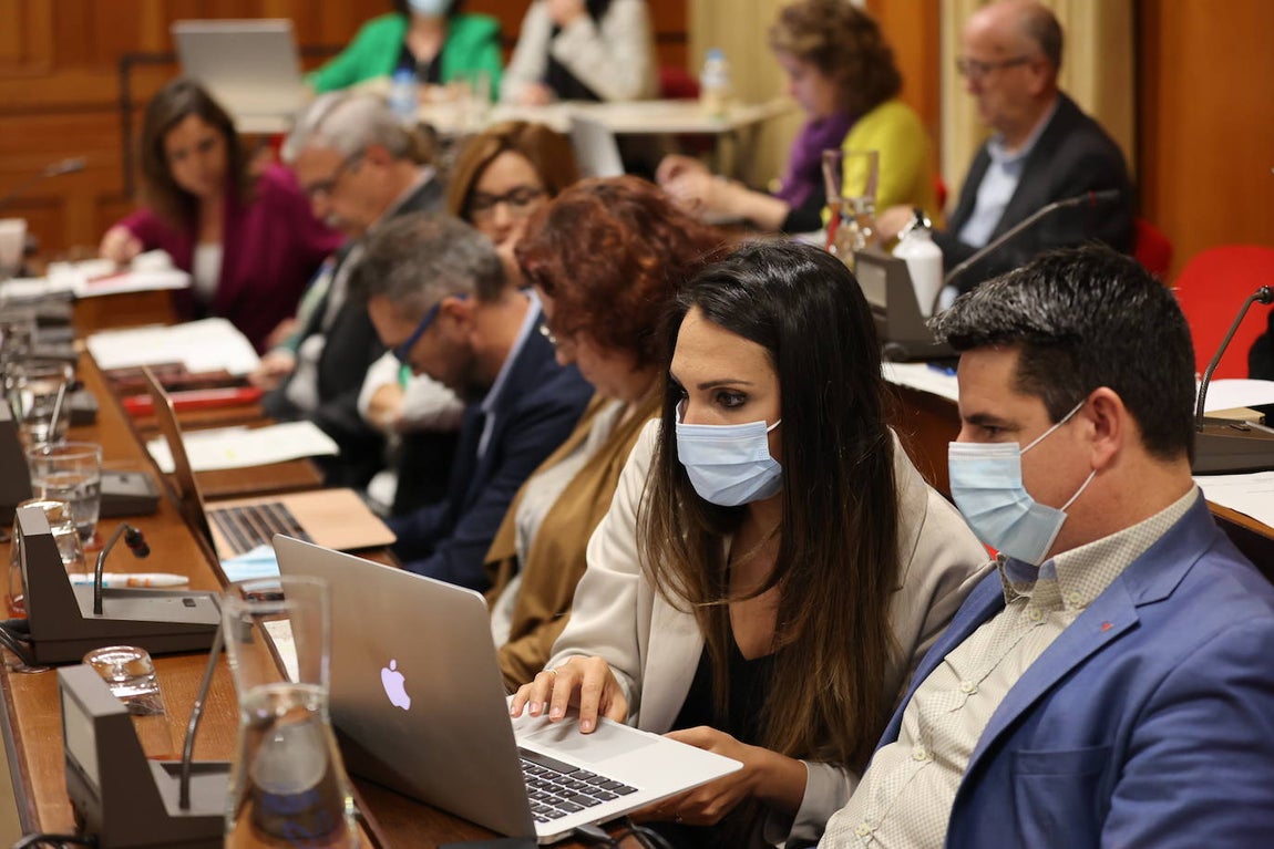 El Pleno del Ayuntamiento de Córdoba con la protesta de bomberos, en imágenes