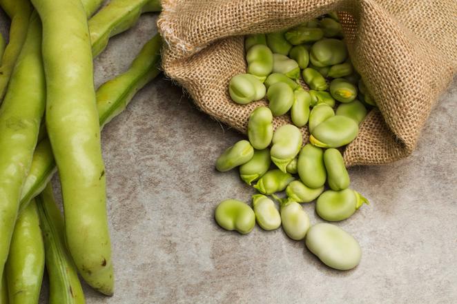 Haba. Según los expertos de Soy de temporada, las habas frescas tienen una temporalidad muy corta, y pueden aguantar en el frigorífico unos cuatro días. Es un producto muy recomendable por sus numerosas propiedades nutricionales. Esta legumbre se encuentra en su mejor momento los meses de abril y mayo.