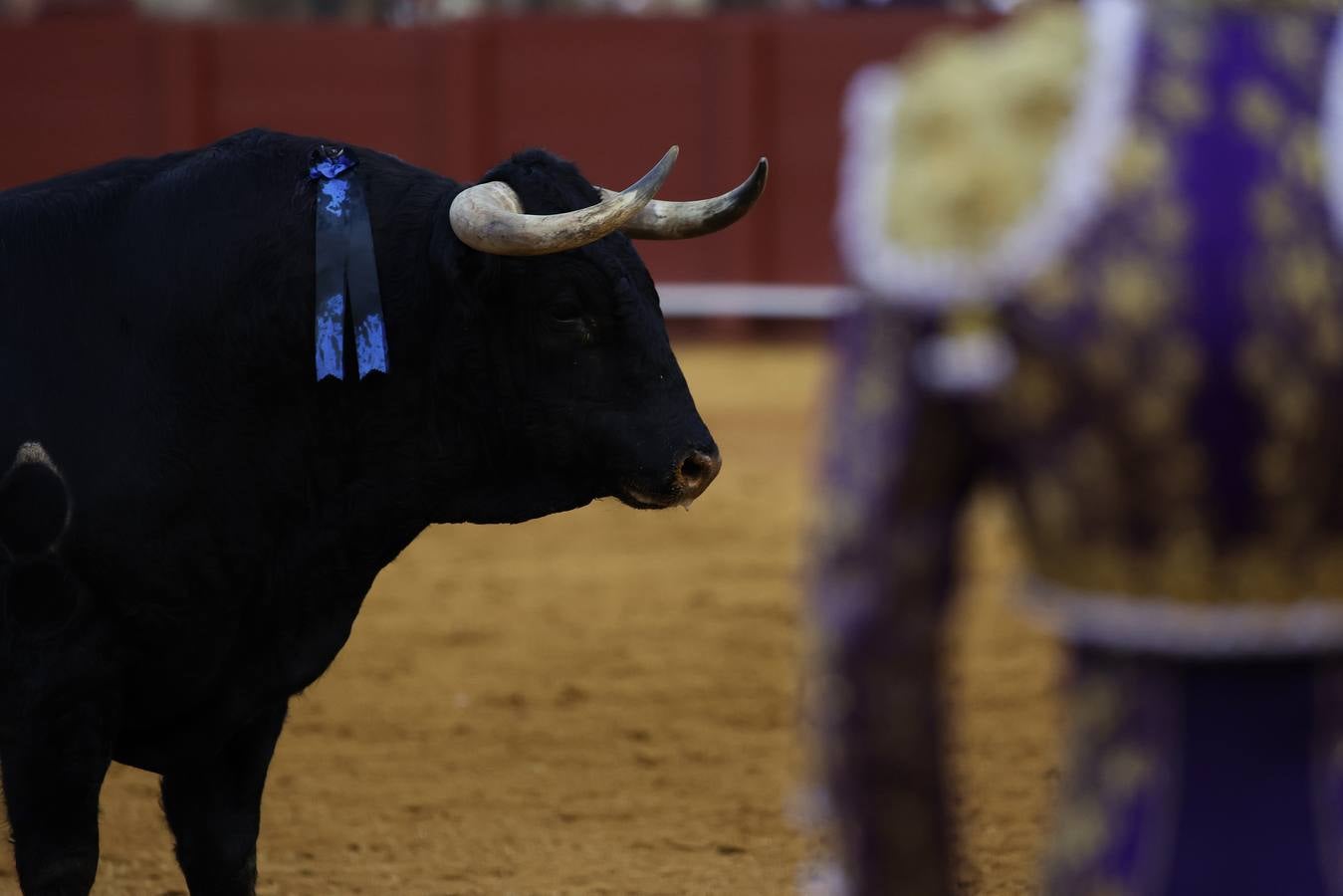 Corrida de Morante, Urdiales y Manzanares en la plaza de toros de Sevilla en 2022. JUAN FLORES