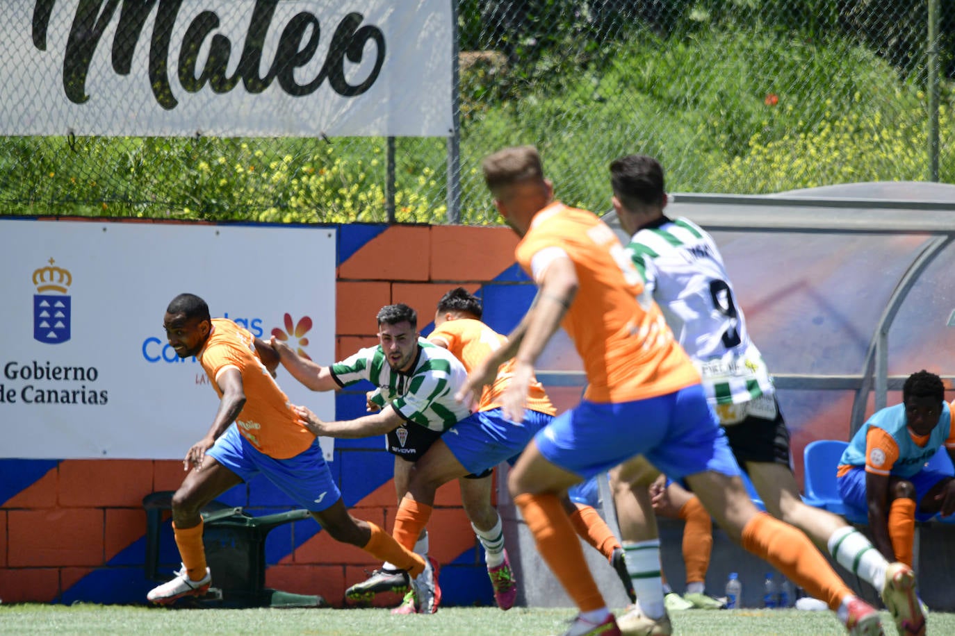 Las brillantes imágenes del Panadería Pulido - Córdoba CF