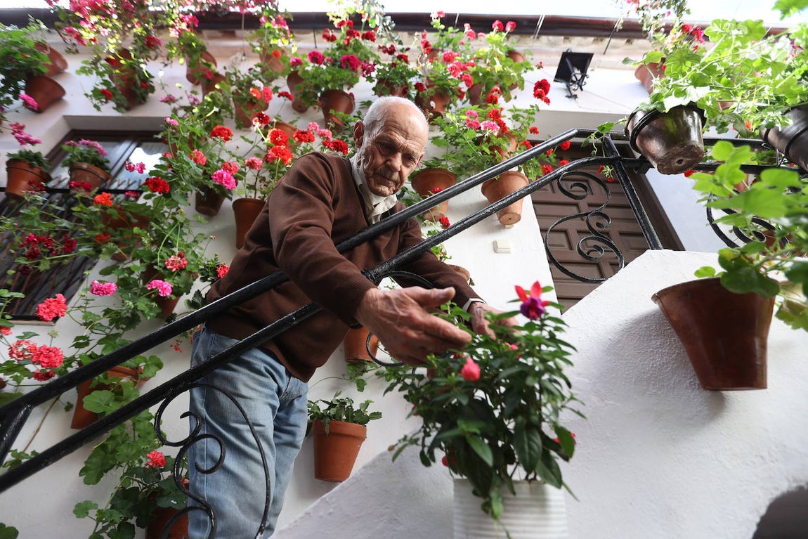 Los preparativos de los Patios de Córdoba, en imágenes