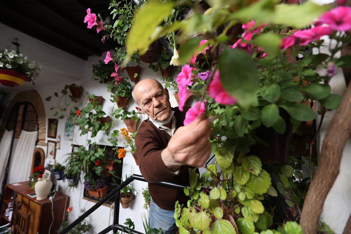 Los preparativos de los Patios de Córdoba, en imágenes