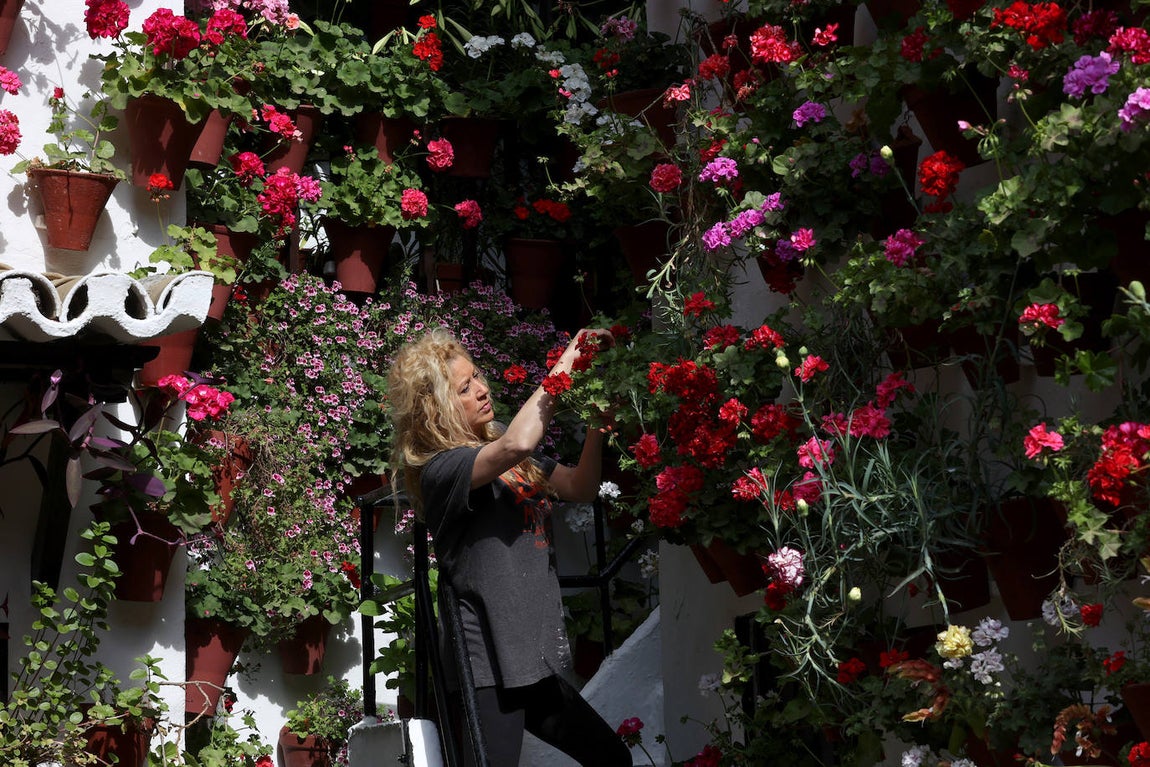 Los preparativos de los Patios de Córdoba, en imágenes