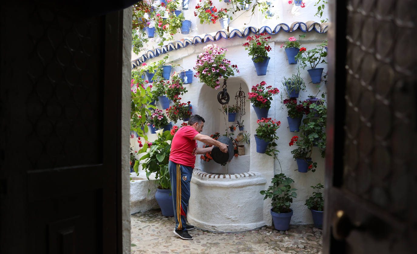 Los preparativos de los Patios de Córdoba, en imágenes