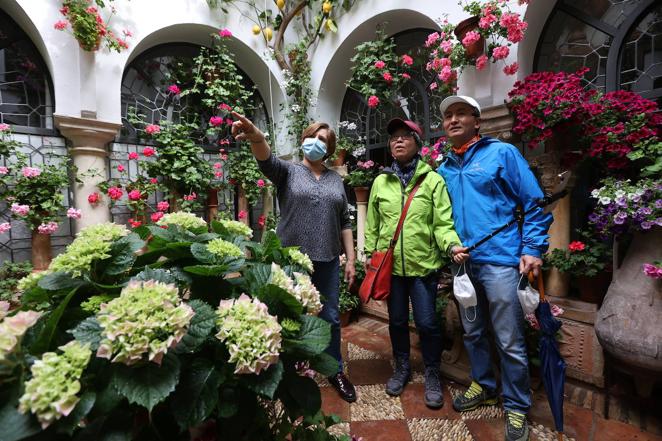 La ruta de San Basilio de los Patios de Córdoba, en imágenes