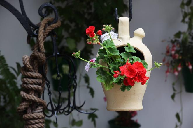 La ruta de San Basilio de los Patios de Córdoba, en imágenes