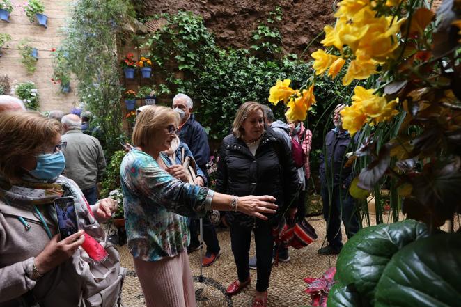 La ruta de San Basilio de los Patios de Córdoba, en imágenes