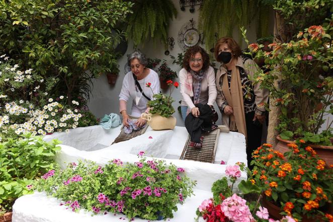 La ruta de San Basilio de los Patios de Córdoba, en imágenes