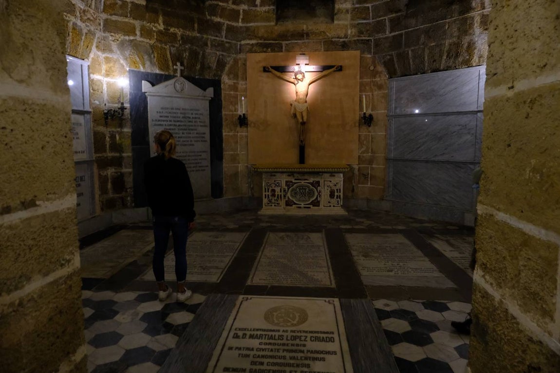 Fotos: Visitas guiadas a la Catedral de Cádiz