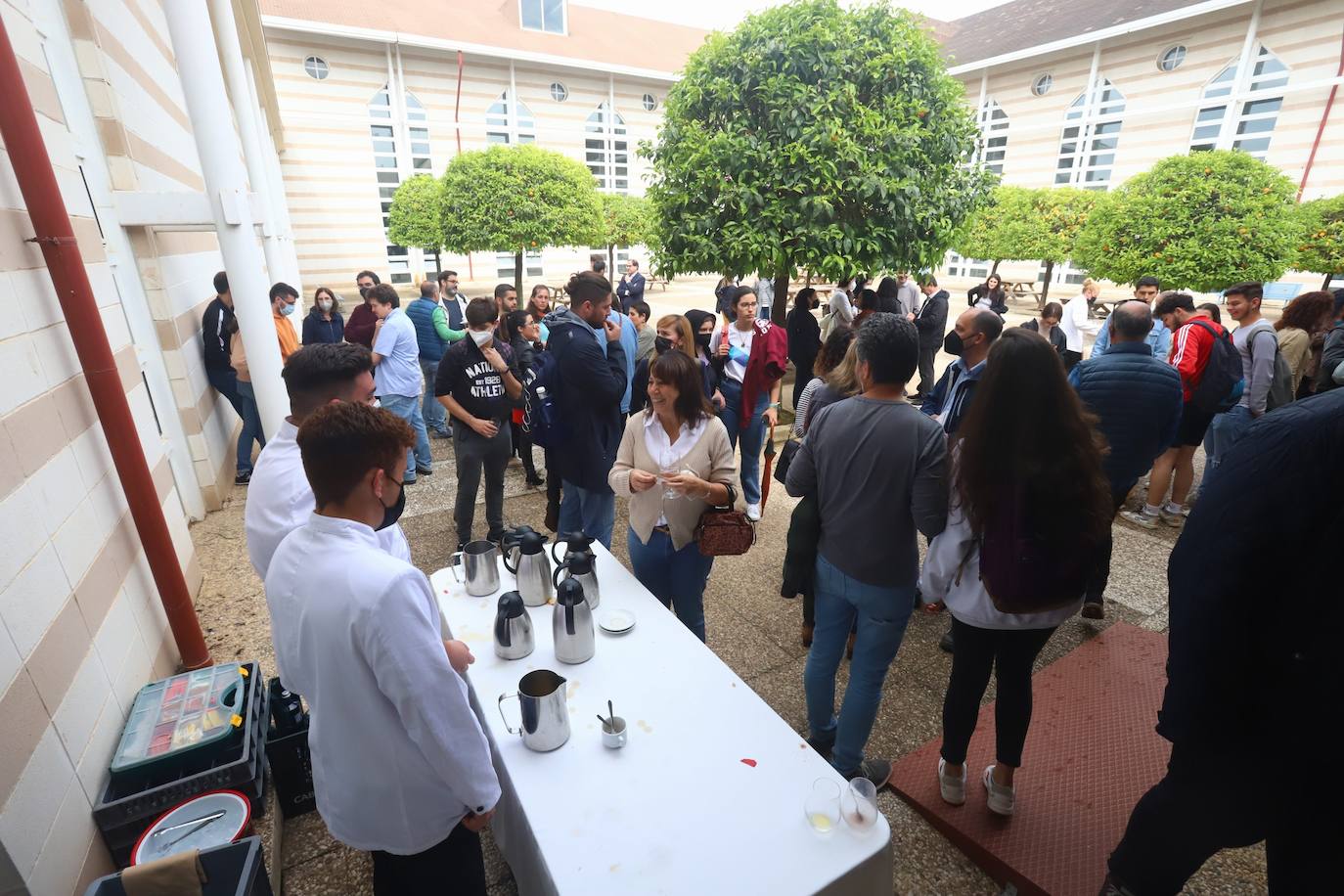 Los equipos de los candidatos a rector de la Universidad de Córdoba, en imágenes