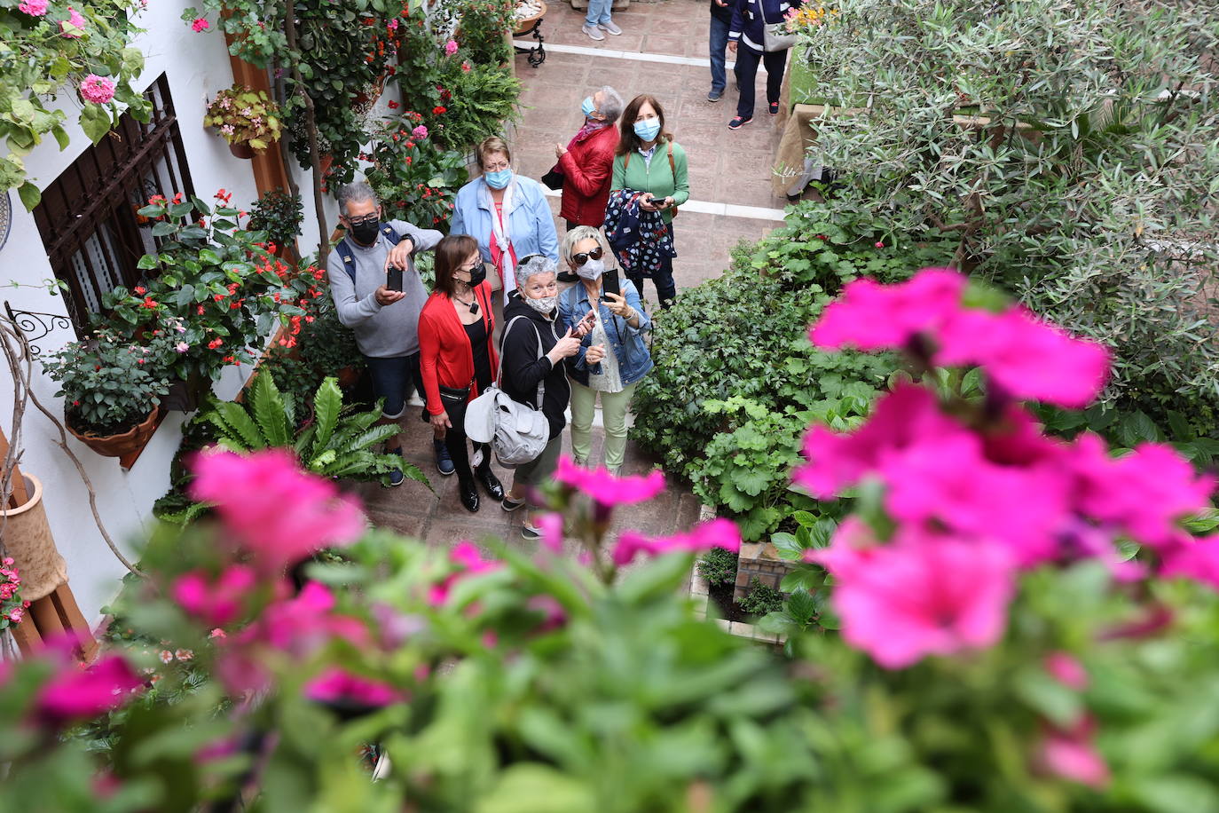 Patios de Córdoba 2022 | La ruta de Santa Marina y San Agustín, en imágenes