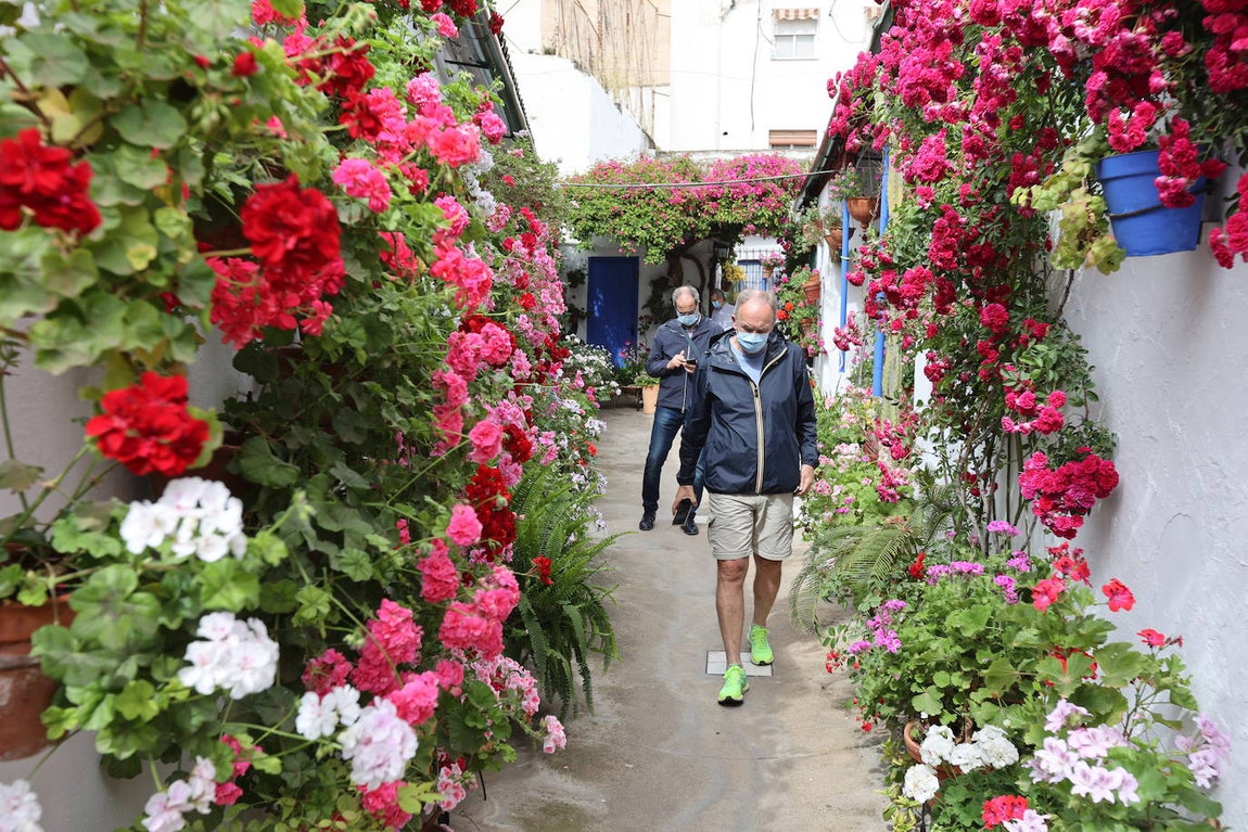 Patios de Córdoba 2022 | La ruta de Santa Marina y San Agustín, en imágenes