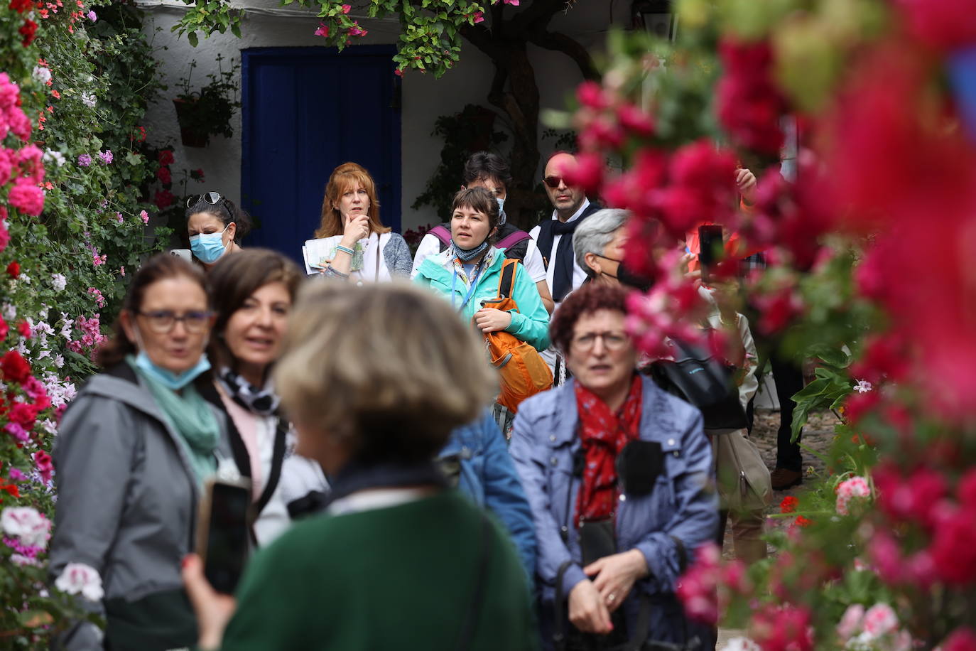 Patios de Córdoba 2022 | La ruta de Santa Marina y San Agustín, en imágenes