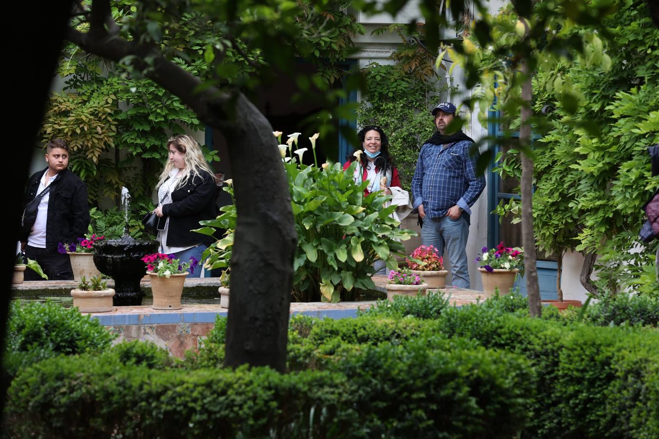 Patios Córdoba 2022 | En imágenes, jornada de puertas abiertas en Viana