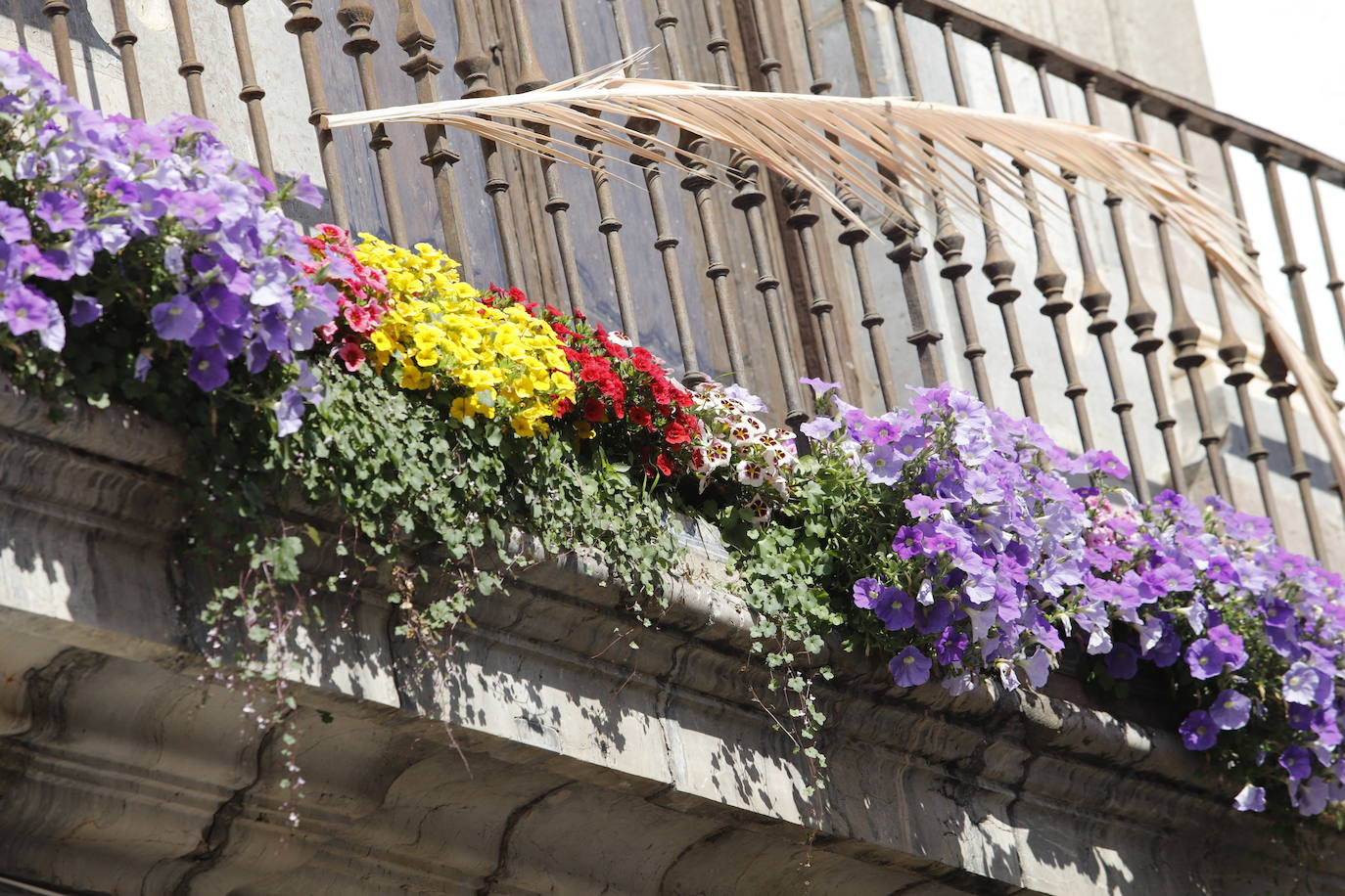 Patios de Córdoba 2022 | El concurso de Rejas y Balcones, en imágenes