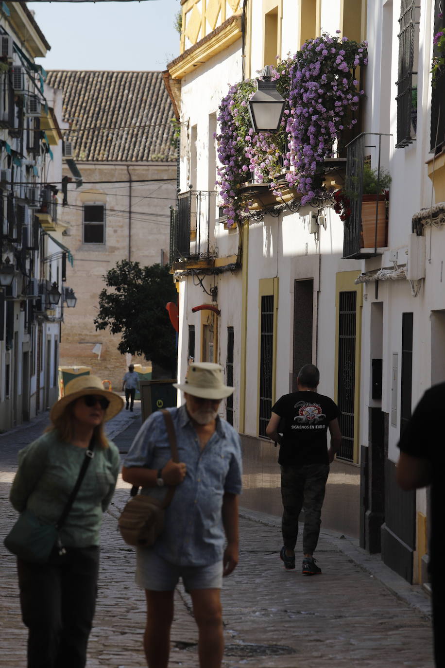 Patios de Córdoba 2022 | El concurso de Rejas y Balcones, en imágenes