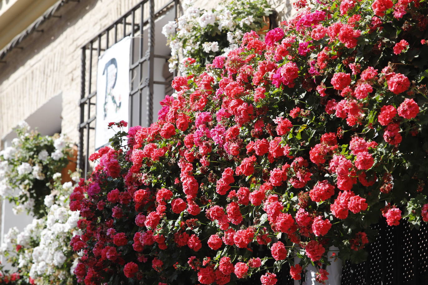 Patios de Córdoba 2022 | El concurso de Rejas y Balcones, en imágenes