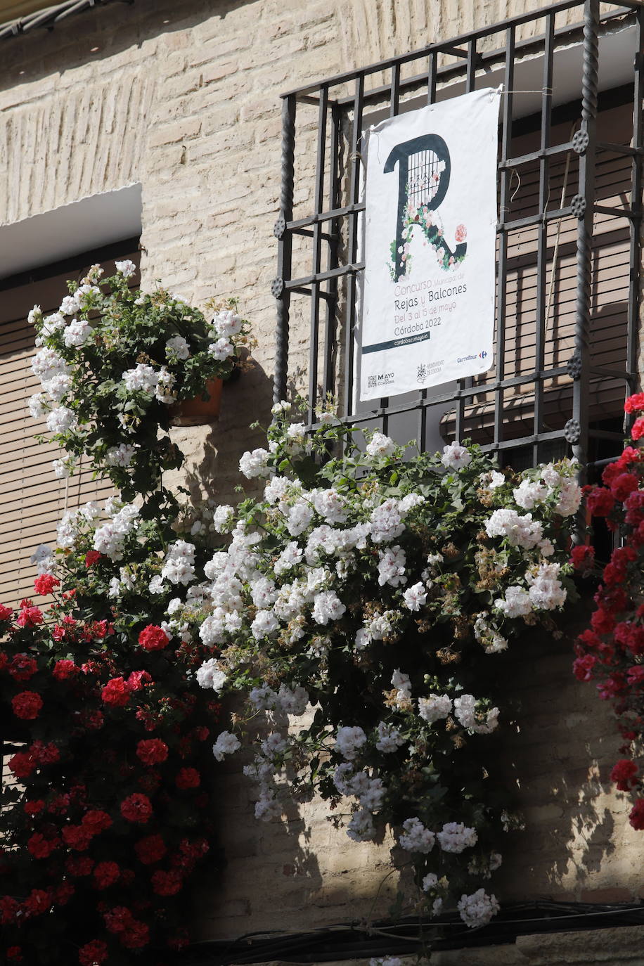 Patios de Córdoba 2022 | El concurso de Rejas y Balcones, en imágenes