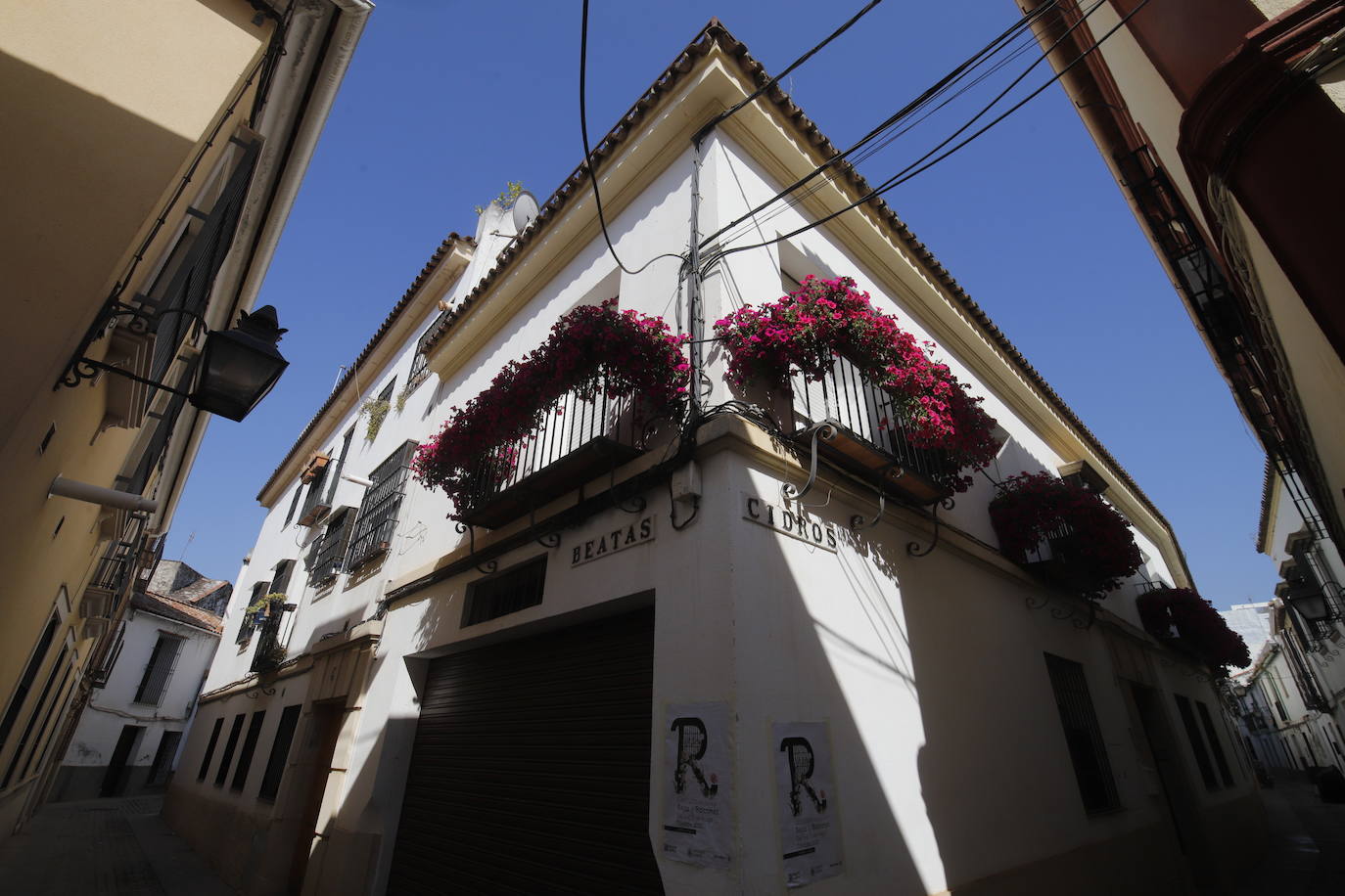 Patios de Córdoba 2022 | El concurso de Rejas y Balcones, en imágenes