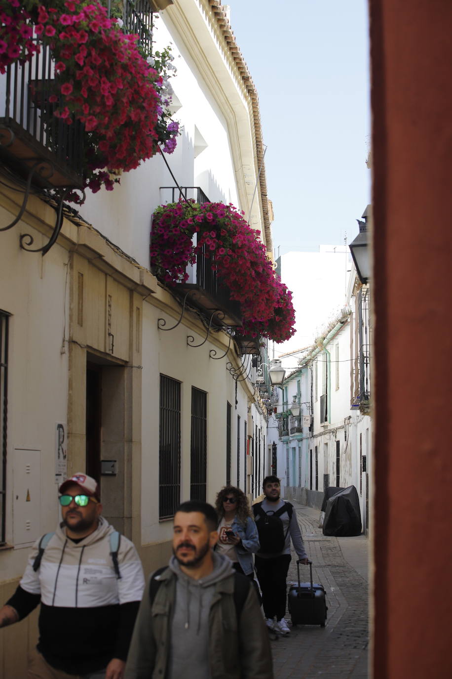 Patios de Córdoba 2022 | El concurso de Rejas y Balcones, en imágenes