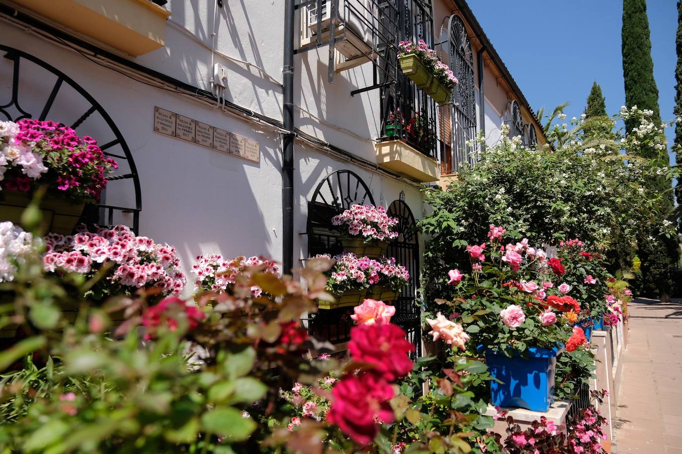 Patios de Córdoba 2022 | El concurso de Rejas y Balcones, en imágenes