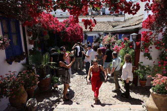 Patios de Córdoba 2022 | Las largas colas y el ambiente del fin de semana, en imágenes