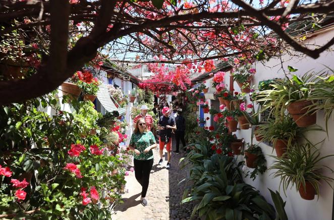 Patios de Córdoba 2022 | Las largas colas y el ambiente del fin de semana, en imágenes