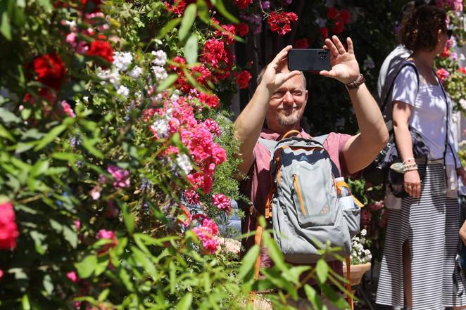 Patios de Córdoba 2022 | Las largas colas y el ambiente del fin de semana, en imágenes