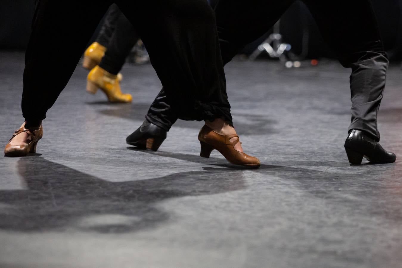 Masterclass del Ballet Flamenco de Andalucía con alumnos de Secundaria. VANESSA GÓMEZ