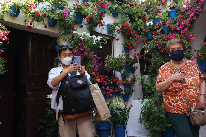 Patios de Córdoba 2022 | La ruta de San Pedro y Santiago, en imágenes