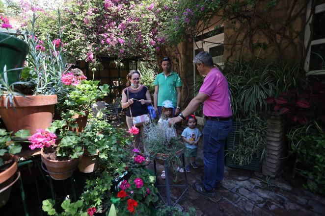 Patios de Córdoba 2022 | La ruta de San Pedro y Santiago, en imágenes