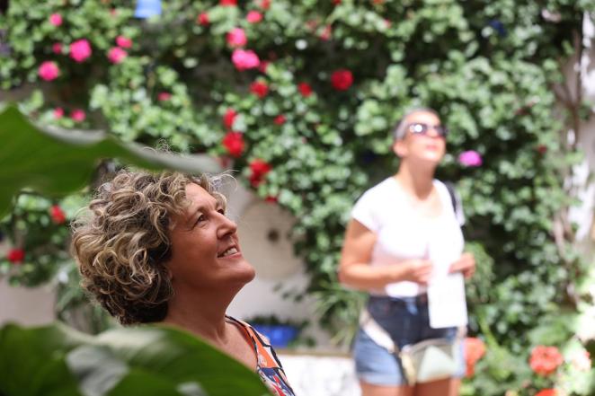 La ruta de patios de San Lorenzo de Córdoba, en imágenes