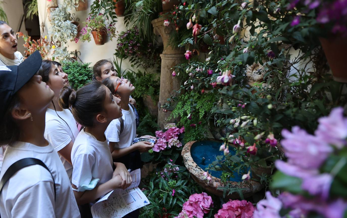 La ruta de patios de San Lorenzo de Córdoba, en imágenes