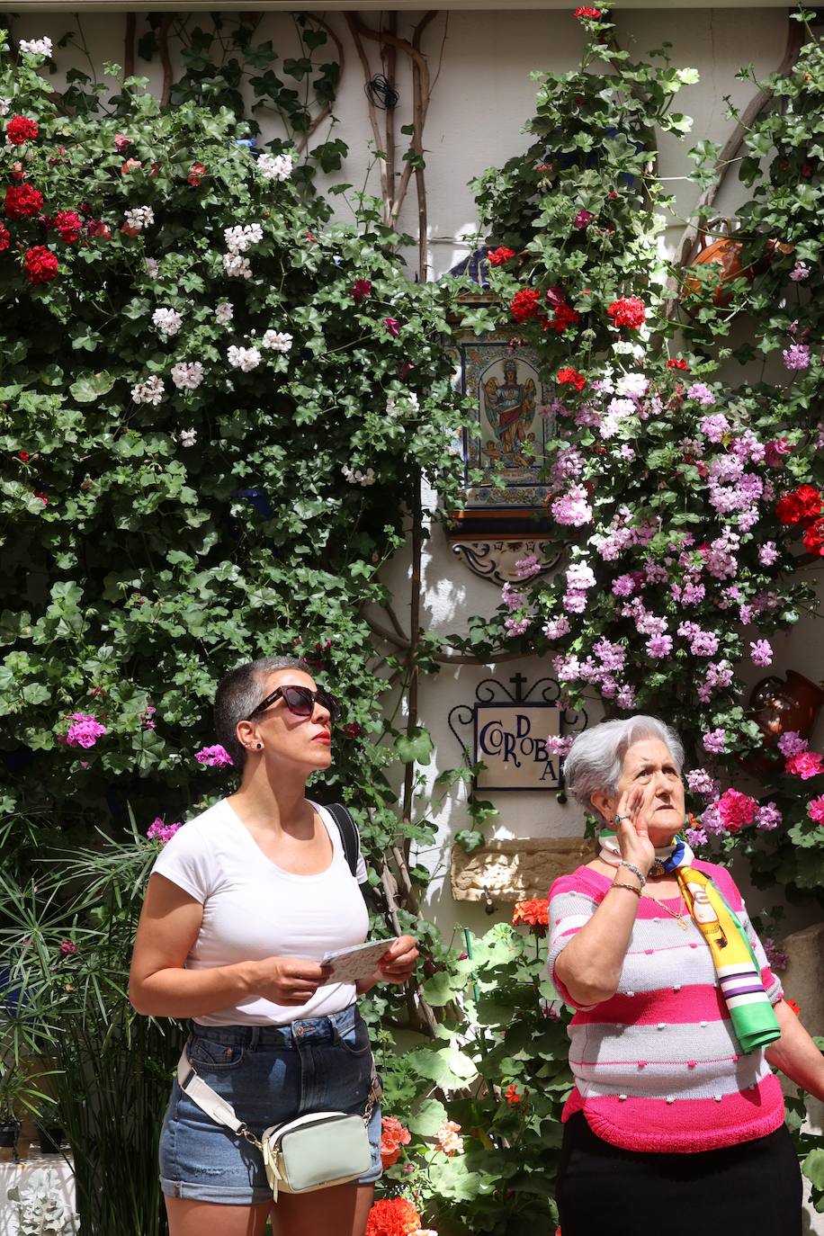 La ruta de patios de San Lorenzo de Córdoba, en imágenes