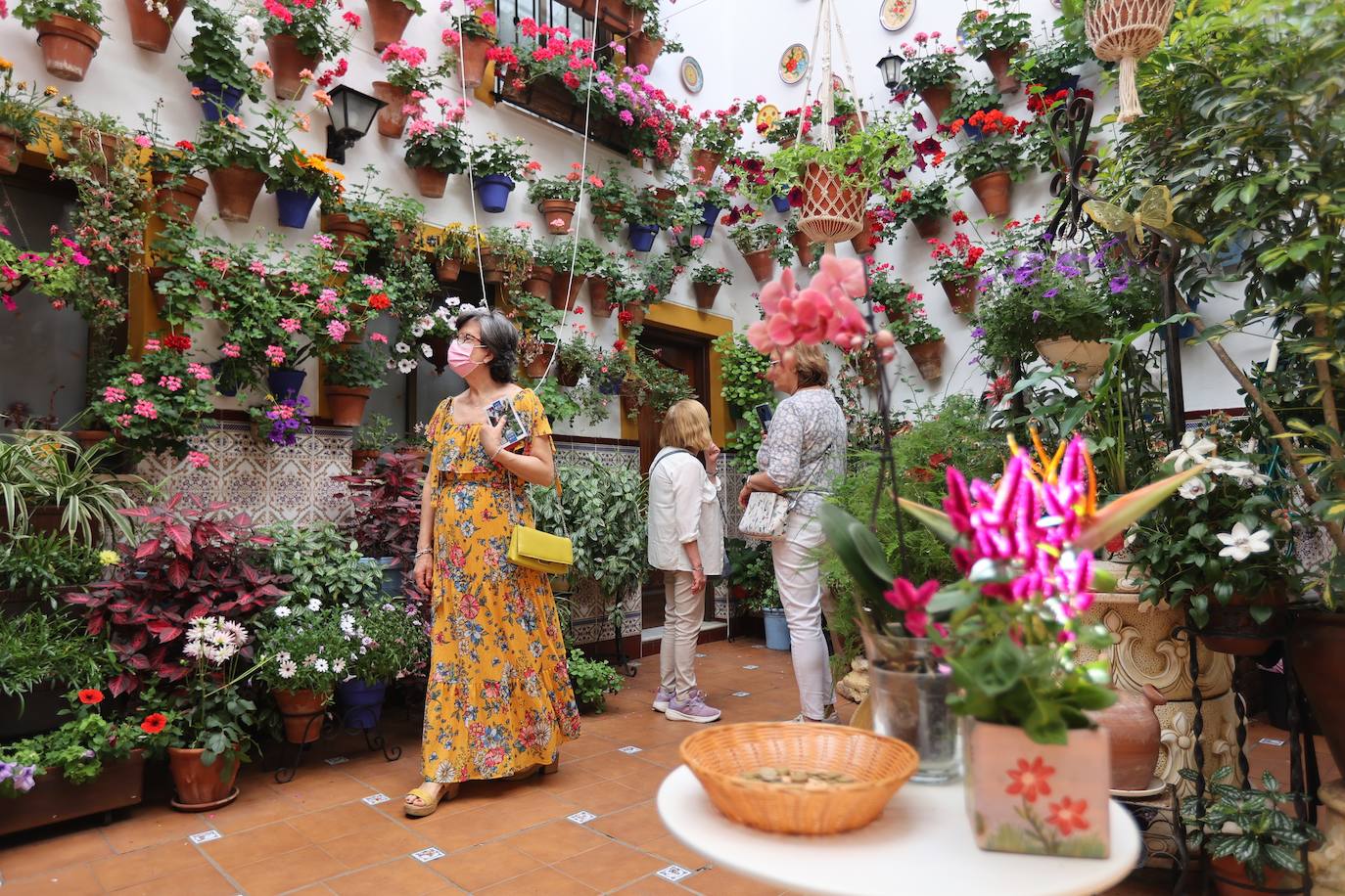 La ruta de patios de San Lorenzo de Córdoba, en imágenes