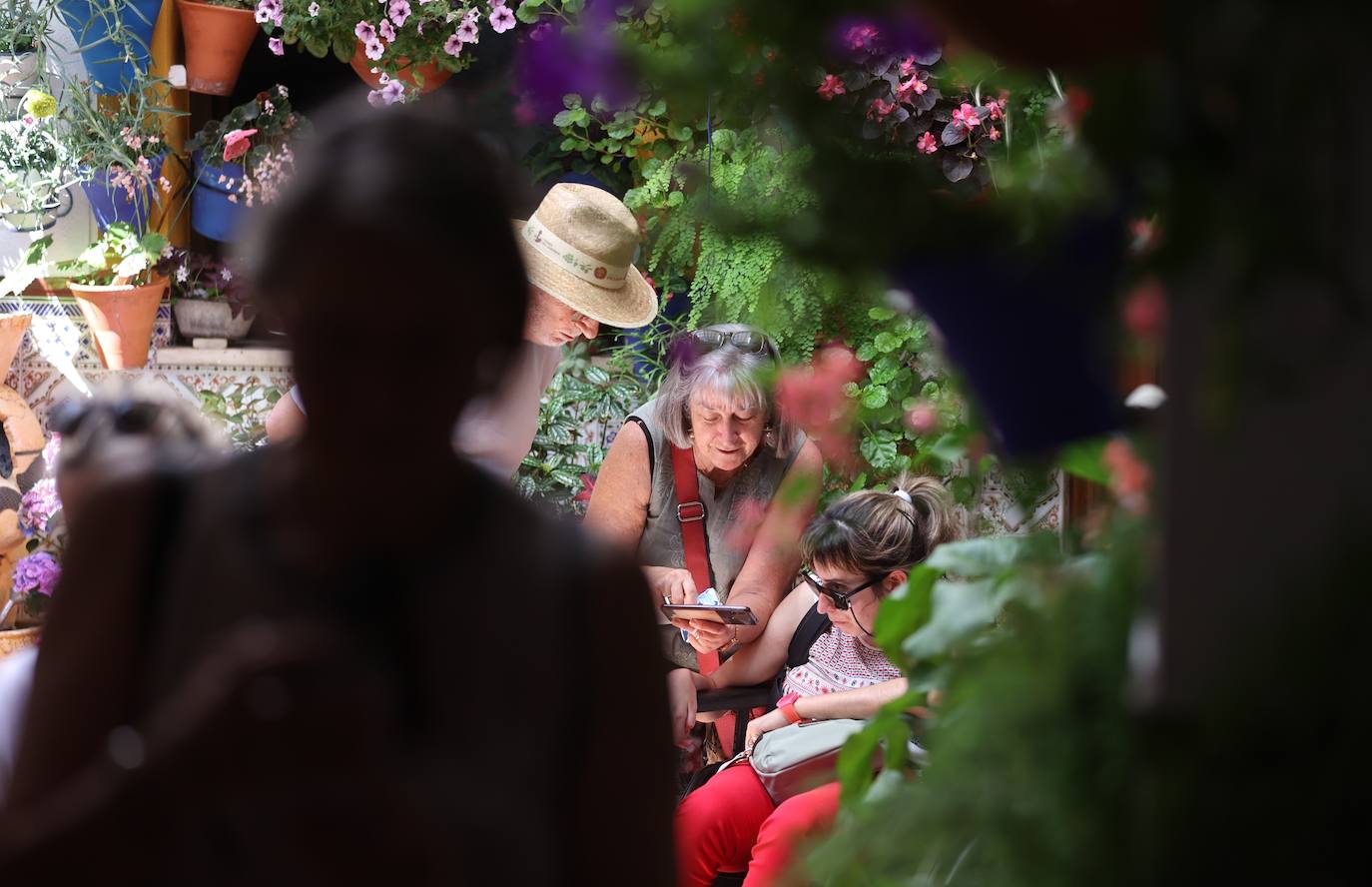 La ruta de patios de San Lorenzo de Córdoba, en imágenes