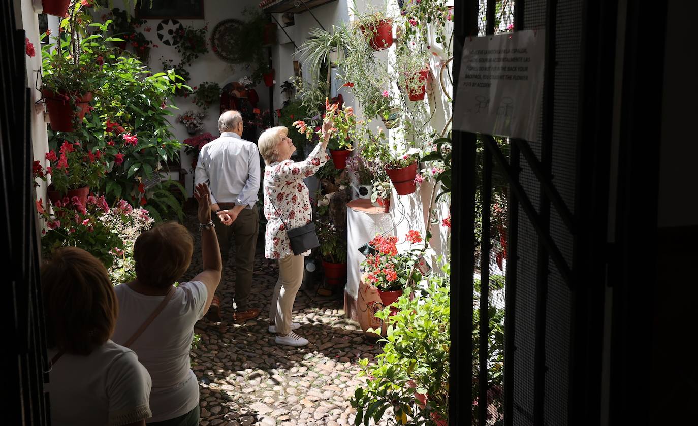 La ruta de patios de San Lorenzo de Córdoba, en imágenes