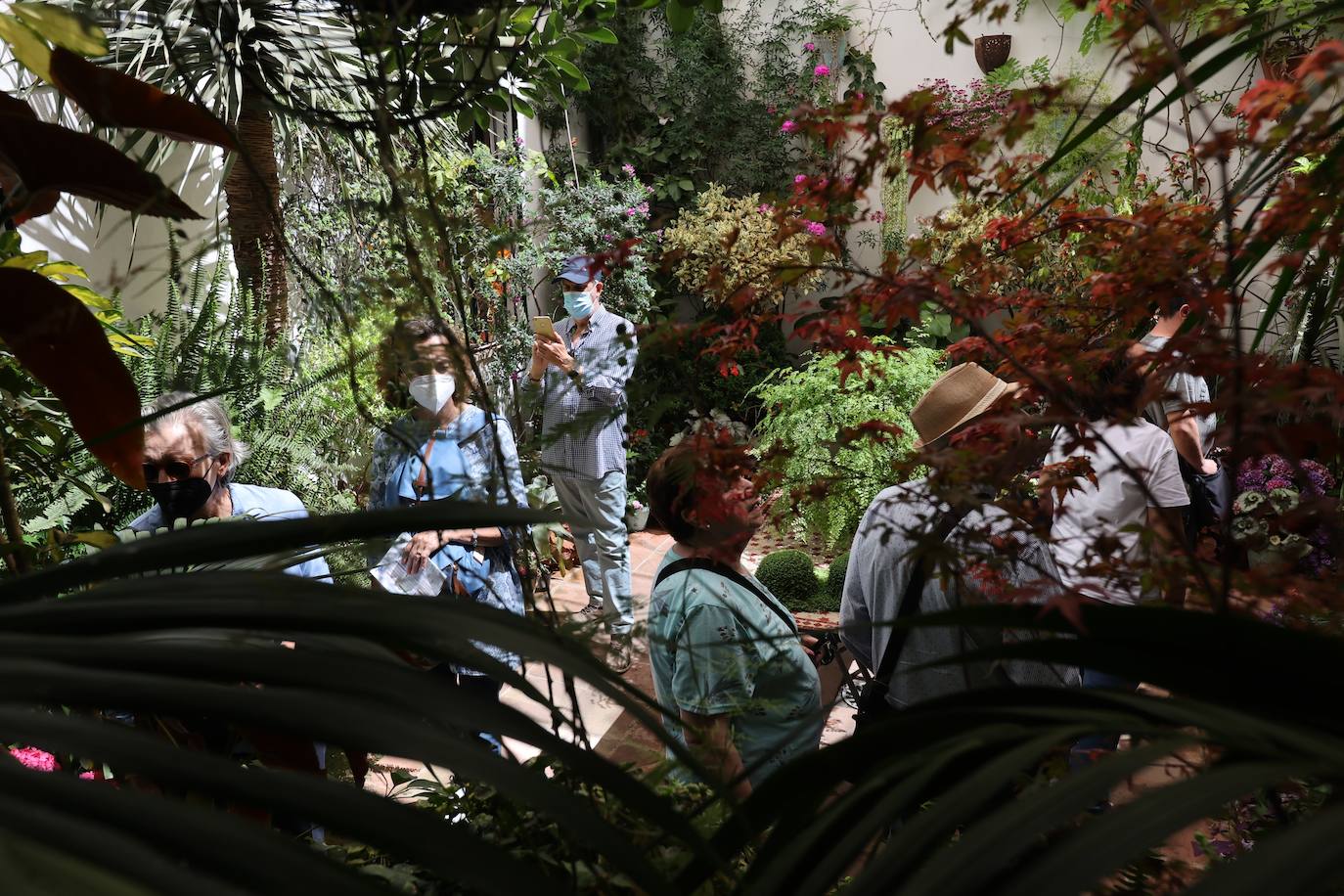 La ruta de patios de San Lorenzo de Córdoba, en imágenes