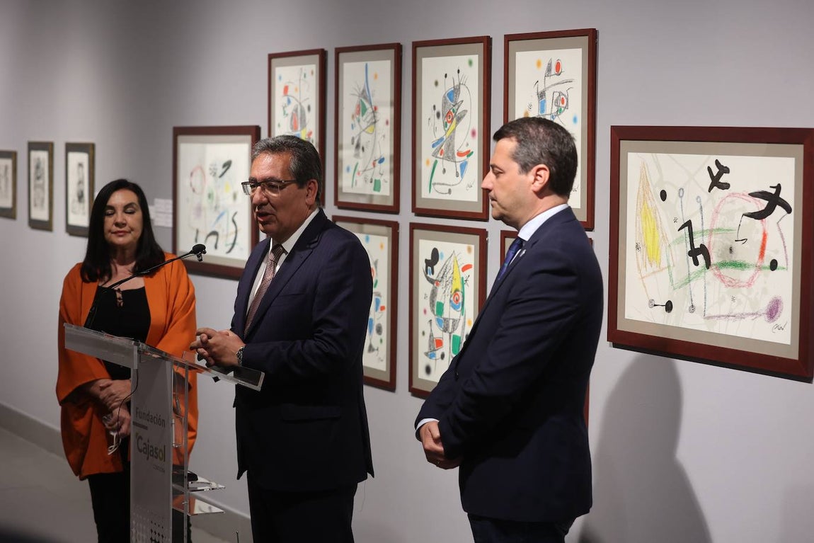 La exposición de Picasso, Dalí y Miró en Córdoba, en imágenes