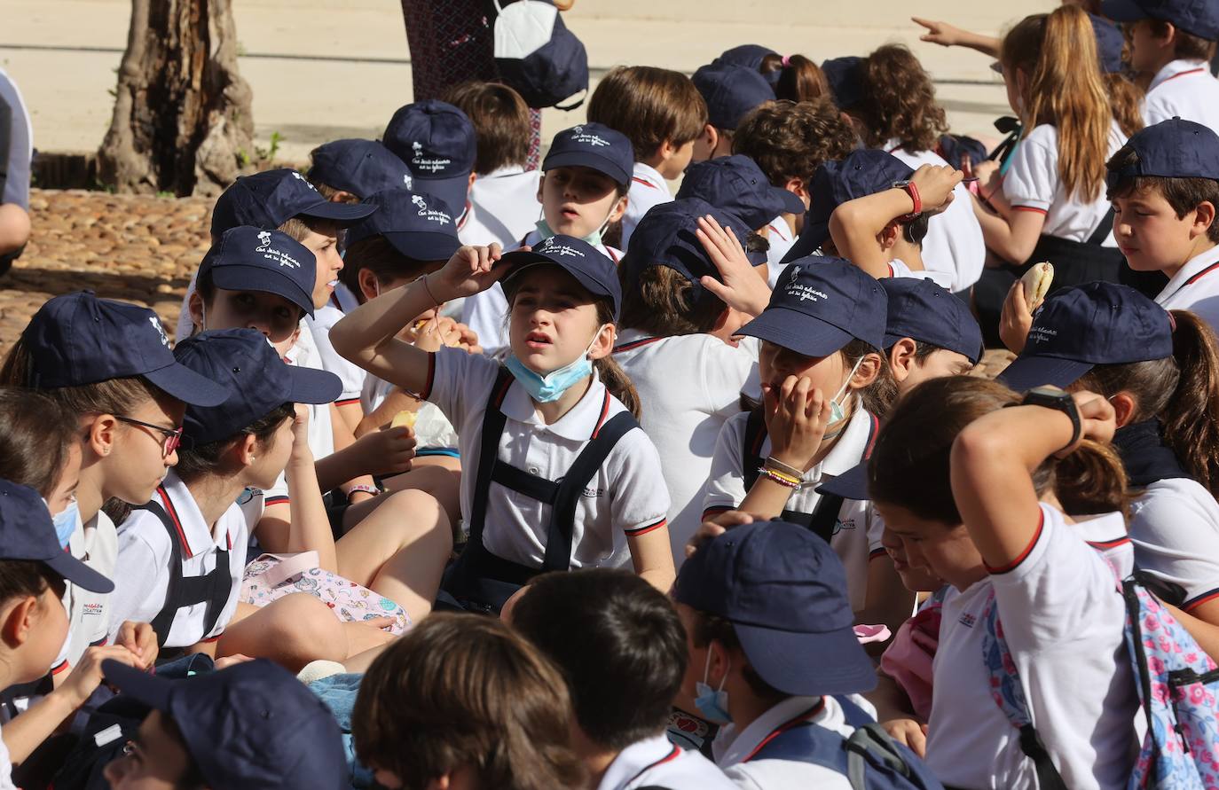 El Encuentro de Escuelas Católicas de Córdoba, en imágenes