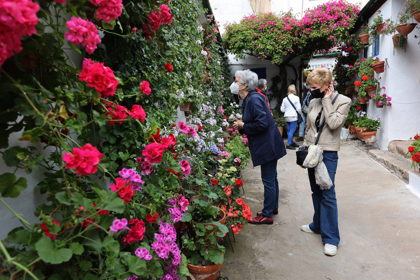 Patios de Córdoba 2022 | Las mejores imágenes de los recintos ganadores