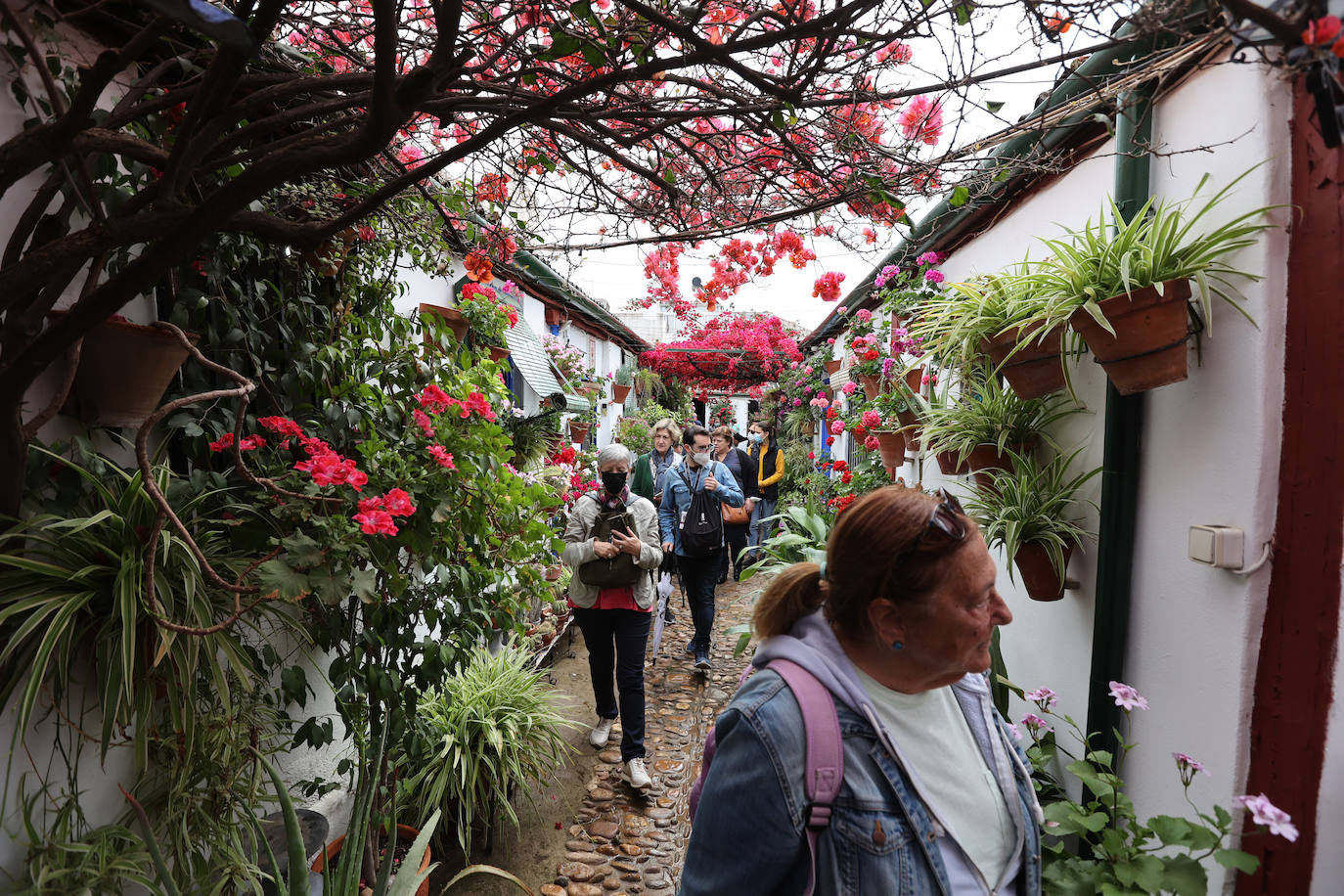 Patios de Córdoba 2022 | Las mejores imágenes de los recintos ganadores