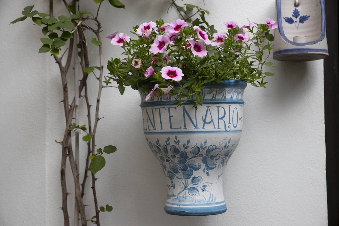 Patios de Córdoba 2022 | Las mejores imágenes de los recintos ganadores