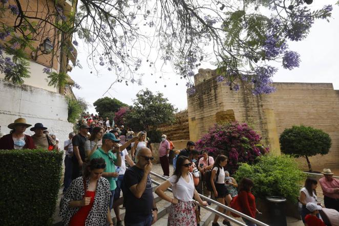 En imágenes, el ambientazo del sábado de Patios en Córdoba