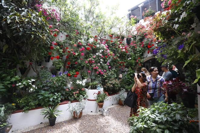 En imágenes, el ambientazo del sábado de Patios en Córdoba