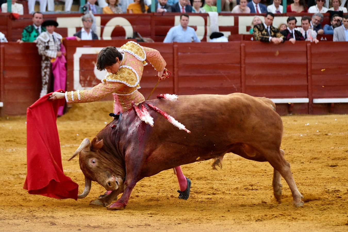 Toros: Morante, Roca Rey y Juan Ortega en la Feria de Jerez 2022