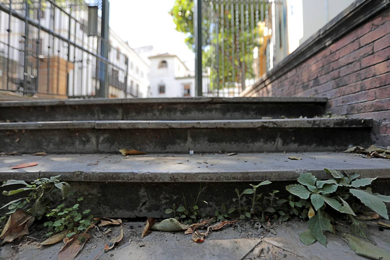 La maleza abunda en las principales zonas turísticas de la ciudad. RAÚL DOBLADO