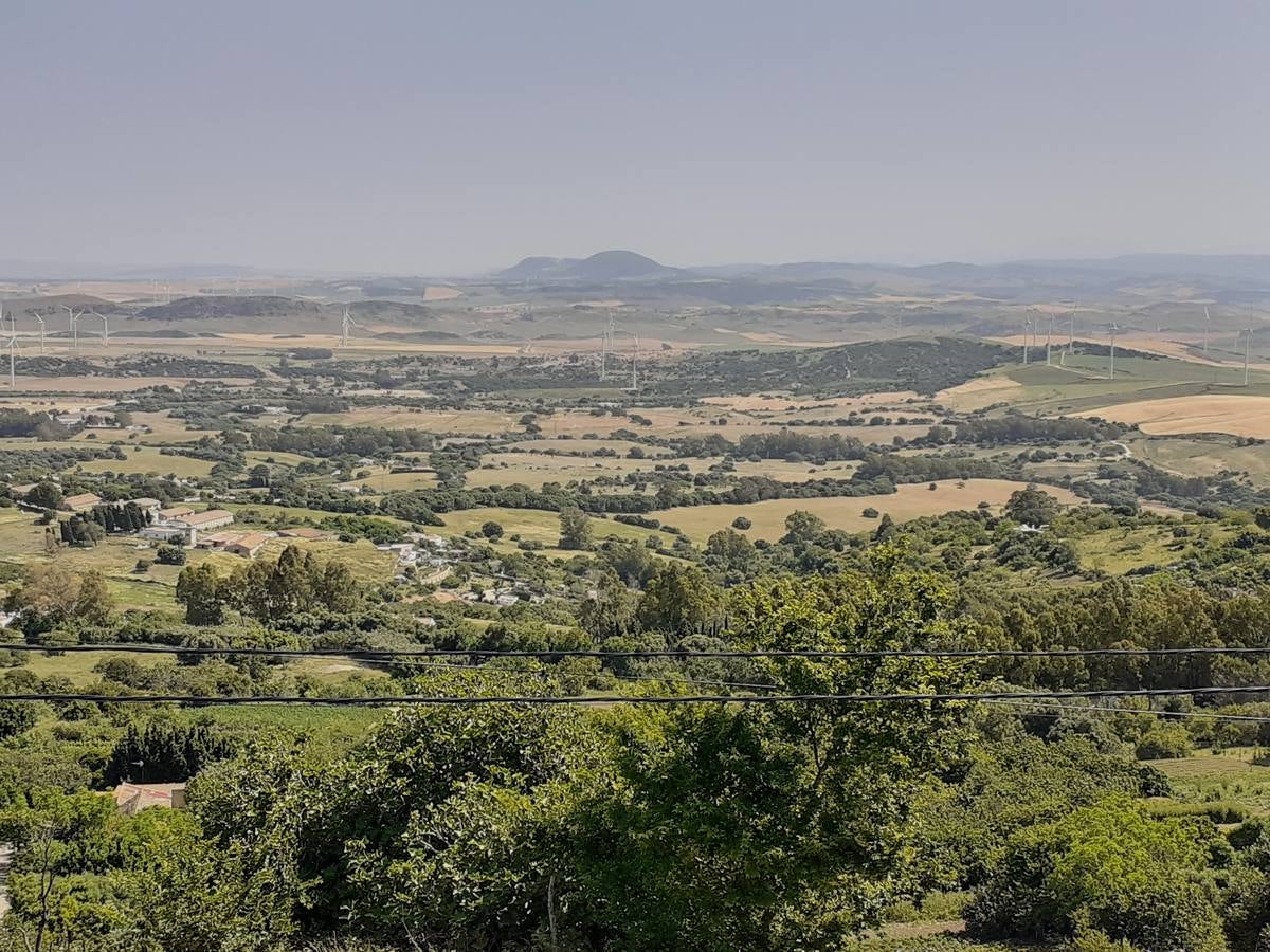 Fotos: Medina Sidonia, en imágenes